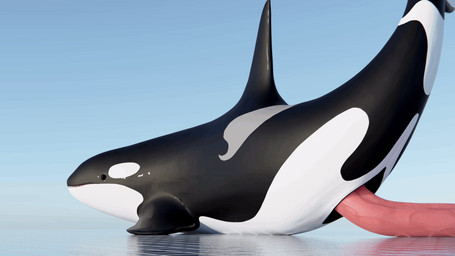 animal_genitalia animal_penis big_penis black_body black_eyes cetacean_genitalia cetacean_penis feral genital_slit genitals glistening glistening_body glistening_genitalia glistening_penis long_penis low-angle_view male multicolored_body open_mouth penis pink_penis presenting presenting_penis simple_background solo tail tapering_penis teeth two_tone_body vein veiny_penis very_long_penis wiggle qubane aquatic cetacean dolphin mammal oceanic_dolphin orca toothed_whale 16:9 2025 3d_(artwork) 3d_animation animated blender_(artwork) digital_media_(artwork) hi_res loop widescreen