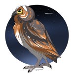 ambiguous_gender brown_body brown_feathers feathers feet feral night sky solo star talons toes white_body white_feathers yellow_eyes ignigeno guardians_of_ga'hoole gylfie avian bird elf_owl owl true_owl 1:1 female_(lore)