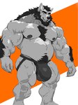 alternate_species anthro arm_hair arm_tuft beard belly biceps big_bulge black_hair body_hair bulge chest_hair chest_tuft clothed clothing deltoids facial_hair fur grey_eyes hair happy_trail jockstrap jockstrap_only male musclegut muscular muscular_anthro muscular_male navel nipples orange_background pattern_background pecs pubes simple_background solo striped_background topless tuft underwear underwear_only vein veiny_muscles white_body white_fur mylesbear_(artist) mythology bear canid canine hybrid mammal mythological_canine mythological_creature polar_bear ursine werecanid werecanine werecreature werewolf 2024 3:4 hi_res