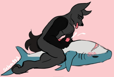 anthro bodily_fluids cum ejaculation erection fur genital_fluids genitals male masturbation nude orgasm penile penis plushie solo tail selem997 ikea blahaj aquatic canid canine canis fish mammal shark digital_media_(artwork)