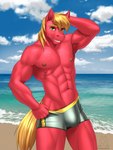 2021 3:4 abs absurd_res anthro anthrofied beach big_macintosh_(mlp) bulge clothed clothing cutie_mark detailed_bulge equid equine friendship_is_magic genital_outline hand_behind_head hasbro hi_res looking_at_viewer male mammal muscular muscular_anthro muscular_male my_little_pony mykegreywolf nipples penis_outline red_body sand sea seaside smile solo sport_swimsuit swimwear topless water