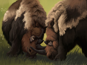 brown_body brown_eyes brown_fur duo feral field fight fur grass horn long_fur male plant quadruped shaggy_fur steppe tan_body tan_fur agustindiazart mammal prehistoric_species rhinoceros woolly_rhinoceros 2024 4:3 hi_res