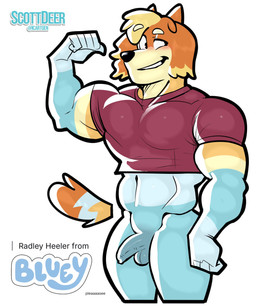 anthro blue_body blue_fur blush bottomless clothed clothing crop_top flexing flexing_bicep fur genitals half-closed_eyes humanoid_genitalia humanoid_penis male micropenis multicolored_body multicolored_fur muscular muscular_male narrowed_eyes orange_body orange_fur penis shirt simple_background small_penis smile smirk solo standing tail topwear white_background scottdeer bluey_(series) radley_heeler australian_cattle_dog canid canine canis cattledog domestic_dog herding_dog mammal mixed_breed pastoral_dog cropped hi_res