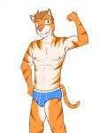 anthro athletic athletic_anthro athletic_male biceps blue_clothing blue_underwear briefs bulge clothed clothing flexing male nipples simple_background solo topless underwear white_background fuze texnatsu joe_(texnatsu) felid mammal pantherine tiger 3:4 hi_res