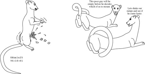 bodily_fluids butt cum deciding dialogue erection female feral genital_fluids genitals gesture hand_gesture male male/female nude_male penis pointing premature_cumshot premature_ejaculation premature_orgasm presenting presenting_hindquarters tail teasing text toony urbanhermit mammal murid murine mustelid musteline rat rodent true_musteline weasel 1996 black_and_white dated english_text monochrome