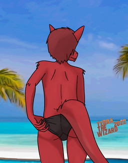 5_fingers ambiguous_gender anthro arm_tuft beach biped brown_clothing brown_speedo brown_swimwear butt claws clothed clothing clothing_pull countershade_fur countershade_tail countershading crotch_lines detailed_background finger_claws fingers flesh_fang fur hair outside palm_tree plant pointy_ears presenting presenting_hindquarters prick_ears rear_view red_body red_countershading red_fur red_hair sand sea seaside short_hair shoulder_tuft sky snout solo speedo speedo_only standing summer swimwear tail tapering_tail text topless tree tuft underwear underwear_only underwear_pull water terrathewizard mythology terra_(terrathewizard) canid canine canis dragon furred_dragon furred_scalie hybrid mammal mythological_creature mythological_scalie scalie wingless_dragon wolf 2022 artist_name dated digital_drawing_(artwork) digital_media_(artwork) mixed_media photography_(artwork) portrait three-quarter_portrait andromorph_(lore)
