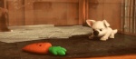 animated bolt bolt_(film) canine carrot disney dog feral fur german_shepherd male mammal pounce solo unknown_artist white_fur
Rating: Safe
Score: 4
User: Wonders
Date: July 09, 2011