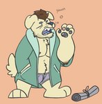 anthro bathrobe beard briefs bulge clothed clothing eyes_closed facial_hair fur male newspaper nipples open_mouth pecs robe simple_background solo standing stubble underwear yawn sailby canid canine canis domestic_dog mammal digital_media_(artwork) hi_res