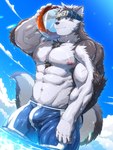 abs accessory anthro biceps bikini bulge clothing detailed_background detailed_bulge fur genital_outline headband male multicolored_body multicolored_fur muscular muscular_anthro muscular_male nipples outside pecs penis_outline seaside sky solo summer swimwear two-piece_swimsuit water white_body white_fur tptptpn lifewonders tokyo_afterschool_summoners horkeu_kamui_(tas) canid canine canis mammal wolf 3:4 hi_res