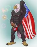 5_fingers abs american_flag anthro armpit_hair athletic balls beak biceps biped black_body black_feathers bodily_fluids body_hair brown_body brown_feathers bulge claws clothed clothing cum erection feathered_wings feathers feet fingers firecracker fireworks flag front_view genital_fluids genitals glans holding_penis holidays humanoid_genitalia humanoid_penis male muscular muscular_anthro muscular_male nipples nude pecs penis pink_glans pink_penis pubes simple_background smile solo standing talons toe_claws toes topless underwear united_states_of_america unusual_bodily_fluids unusual_cum unusual_genital_fluids vein white_body white_feathers wings yellow_sclera badcoyote 4th_of_july american_eagle accipitrid accipitriform avian bald_eagle bird eagle sea_eagle 2016 4:5 hi_res