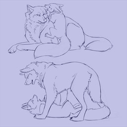 ambiguous_gender blue_border border duo feral championwhoops_(artist) canid canine canis fox mammal wolf 1:1 absurd_res hi_res