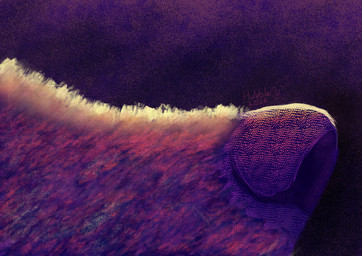 ambiguous_form ambiguous_gender dark_nose detailed_fur fur side_view simple_background solo textured textured_background hubofeverything canid canine mammal 2024 absurd_res detailed digital_media_(artwork) digital_painting_(artwork) hi_res painting_(artwork)