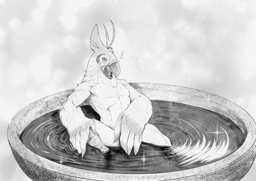 accessory anthro bath bathing beak big_hands blush covering covering_crotch covering_self feathered_wings feathers hair_accessory male muscular muscular_male nude partially_submerged sitting solo surprised water wings sabrotiger breath_of_the_wild nintendo the_legend_of_zelda kass_(tloz) avian rito 2023 digital_media_(artwork) hi_res monochrome shaded widescreen