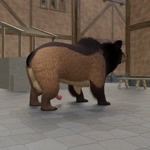 animal_genitalia animal_penis anus balls big_balls big_penis butt erection feral genitals golf_ball hair looking_back male mane mane_hair penis raised_tail shaking_balls shaking_butt sheath solo swinging_penis tail ursine_penis wagging_hips bokonus kuruk_(character) bear brown_bear grizzly_bear mammal ursine 1:1 3d_(artwork) 3d_animation animated digital_media_(artwork) hi_res loop no_sound short_playtime webm