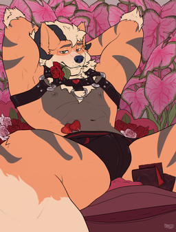 anthro bondage_gear candy clothing condom condom_wrapper dessert flower food fur green_eyes hands_behind_head horn jakko lollipop looking_at_viewer male plant rose_(flower) sexual_barrier_device solo striped_body striped_fur stripes underwear kazoncito nintendo pokemon arcanine generation_1_pokemon pokemon_(species) absurd_res hi_res