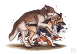 anal anal_orgasm anal_penetration animal_genitalia animal_penis black_body black_fur bodily_fluids breath brown_body brown_fur canine_genitalia canine_penis claws countershade_torso countershading cum cum_in_ass cum_inside cum_on_fur cumshot digitigrade dipstick_tail ears_back ejaculation erection feral feral_on_feral feral_penetrated feral_penetrating feral_penetrating_feral finger_claws fluffy fluffy_tail foursome from_behind_position fur genital_fluids genitals gloves_(marking) group group_sex hands-free heart_symbol knot knotted_penis leaking_cum leg_markings male male/male male_penetrated male_penetrating male_penetrating_male markings mounting open_mouth orange_body orange_fur orgasm penetration penile penile_penetration penis pivoted_ears quadruped sex simple_background size_difference snout socks_(marking) tail tail_markings thrusting toe_claws tongue tongue_out train_position white_background white_body white_fur yellow_eyes kola_(artist) border_collie canid canine canis collie domestic_dog fox german_shepherd herding_dog mammal pastoral_dog red_fox sheepdog true_fox wolf 2025 painting_(artwork) watercolor_(artwork) watermark