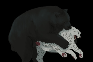 abdominal_bulge animal_genitalia animal_penis bared_teeth bite digitigrade dominant dominant_male female female_penetrated feral feral_on_feral feral_penetrating forced genitals male male/female neck_bite pawpads paws penetration penis plantigrade raised_leg rape sex teeth ursine_penis vaginal vaginal_penetration squidtickle bear felid mammal pantherine snow_leopard ursine absurd_res hi_res