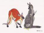 1994 absurd_res animal_genitalia animal_penis balls balls_above_penis bodily_fluids cloaca cloacal_penis dripping duo erection female feral genital_fluids genitals hi_res holding_tail kangaroo looking_back macropod male male/female mammal marker_(artwork) marsupial marsupial_penis peeing penis precum precum_drip simple_background tail tapering_penis tim_o'rourke traditional_media_(artwork) urine urine_pool white_background