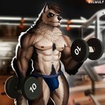 abs anthro bicep_curl biceps blue_clothing blue_eyes blue_jockstrap blue_underwear bodily_fluids body_hair brown_body brown_fur bulge chest_hair chest_tuft chin_tuft clothed clothing detailed_bulge dripping dumbbell exercise exercise_equipment eyebrows facial_hair facial_tuft fur genital_fluids genital_outline genitals goatee gym hair humanoid_genitalia humanoid_penis jockstrap jockstrap_only leaking_precum male multicolored_body multicolored_fur muscular muscular_anthro muscular_male neck_tuft nipples pecs penis penis_outline precum precum_drip precum_through_clothing precum_through_underwear pubes solo standing tail thick_eyebrows topless tuft two_tone_body two_tone_fur underwear underwear_only vein veiny_muscles weightlifting weights wet wet_clothing white_body white_fur workout belwulf sade_(canonical) canid canine canis mammal mexican_wolf wolf 1:1 absurd_res digital_media_(artwork) hi_res