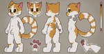 anthro balls butt color_swatch flaccid foreskin genitals male nude penis shota solo young young_anthro him_army domestic_cat felid feline felis mammal digital_media_(artwork) full-length_portrait hi_res model_sheet portrait