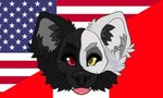 american_flag anthro black_body black_fur flag fur heterochromia male peru peruvian_flag solo teeth tongue tongue_out united_states_of_america white_body white_fur anonymous_artist azki_(azki_wolf) canid canine canis mammal wolf 5:3