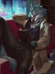 anthro biped blue_body blue_fur book bottomwear brand_new_animal canid canine canis clothing collar fur furniture gloves handwear hi_res jacket male mammal momobeda pants reading shirou_ogami shirt sofa solo studio_trigger topwear white_body white_fur window wolf