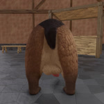 animal_genitalia anus balls big_balls big_penis butt erection feral genitals golf_ball hair looking_at_viewer looking_back male mane mane_hair penis raised_tail rear_view shaking_balls shaking_butt sheath solo swinging_penis tail wagging_hips bokonus kuruk_(character) bear brown_bear grizzly_bear mammal ursine 1:1 3d_(artwork) 3d_animation animated digital_media_(artwork) hi_res no_sound short_playtime webm