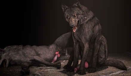 after_anal after_sex amber_eyes anatomically_correct animal_genitalia animal_penis balls black_nose bodily_fluids canine_genitalia canine_penis canine_teeth claws collar cum cum_drip cum_in_ass cum_inside cum_on_penis dripping duo ejaculation erection feral feral_on_feral fur genital_fluids genitals grey_body grey_fur knot knotted_penis leaking_cum looking_at_viewer looking_pleasured male male/male pawpads paws penis presenting presenting_balls presenting_penis realistic realistic_feral red_penis simple_background spread_legs spreading tail toe_claws tongue tongue_out vein veiny_penis blodrain canid canine canis mammal wolf 3d_(artwork) adobe_photoshop_(artwork) digital_media_(artwork) hi_res source_filmmaker_(artwork)