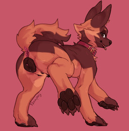 animal_genitalia animal_vulva anus bodily_fluids canine_genitalia canine_vulva claws collar female feral fur genital_fluids genitals pawpads paws presenting presenting_anus presenting_vulva quadruped raised_leg solo tail tongue tongue_out vaginal_fluids vulva novaplexy kara_(gjall) canid canine canis domestic_dog german_shepherd herding_dog mammal pastoral_dog absurd_res hi_res