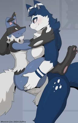 anal anal_penetration anthro balls duo from_front_position genitals male male/male penetration penis side_view smile standing winick-lim nintendo pokemon canid canine canis domestic_dog generation_4_pokemon lucario mammal pokemon_(species) 2024 absurd_res hi_res