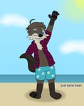 beach brown_body brown_fur clothing eyewear flannel fur male one_eye_closed seaside solo swimming_trunks swimwear text wink just_some_bean beryl_(just_some_bean) mammal mustelid otter absurd_res digital_media_(artwork) english_text hi_res