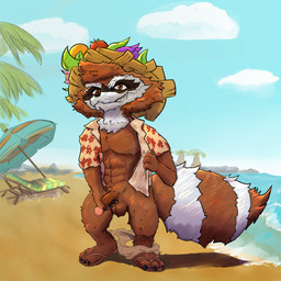 anthro balls beach clothed clothing erection genitals glans hat headgear headwear humanoid_genitalia humanoid_penis male mismatched_genitalia mismatched_humanoid_penis mismatched_penis outside parasol partially_clothed penis solo tail arantiguerking guardians_of_the_galaxy marvel marvel_rivals rocket_raccoon mammal procyonid raccoon 1:1 hi_res