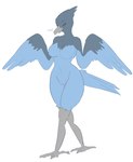 anthro beady_eyes blue_body blue_feathers breasts feathers featureless_breasts featureless_crotch female front_view narrowed_eyes nude simple_background solo standing white_background hardscales avian absurd_res full-length_portrait hi_res portrait