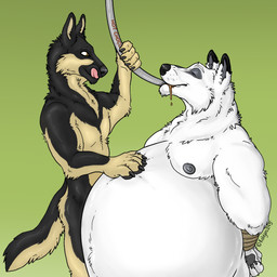 anthro areola belly biped duo feeding force_feeding forced gain green_background growth hose hose_inflation inflation male male/male male_anthro moobs nipples obese obese_anthro obese_male overeating overweight overweight_anthro overweight_male simple_background stuffing weights kolejarz245 oleg_(kolejarz245) sebek canid canine canis domestic_dog german_shepherd herding_dog mammal pastoral_dog wolf 1:1 digital_media_(artwork)