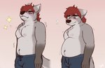 anthro belly biped blush bodily_fluids bottomwear bulge clothed clothing disappointed eyes_closed fur grey_body grey_fur hair male navel nipples pants red_hair simple_background slightly_chubby slightly_chubby_anthro slightly_chubby_male solo standing star_polygon sweat sweatdrop sweatpants topless topless_male spyz_(artist) rory_(spyz) canid canine mammal 2019 flat_colors