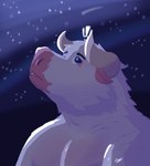 anthro horn looking_up male missing_eye night sky solo star stargazing starry_sky the_lagart european_mythology greek_mythology minotaur_hotel mythology asterion asterion_(minotaur_hotel) bovid bovine cattle mammal minotaur absurd_res hi_res