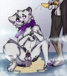 anthro bathroom bathroom_wall blush bodily_fluids caged chastity_cage chastity_device duo genital_fluids genitals intersex intersex/male male pawpads peeing penis purple_body purple_eyes purple_inner_ear purple_pawpads purple_penis purple_scarf purple_tongue scarf smile submissive tongue urine watersports aceofspxdez kito_(emobikemate) spade_(aceofspxdez) canid canine canis domestic_dog felid feline leopard leopard_cat mammal pantherine prionailurus hi_res