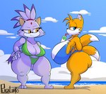 2_tails anthro beach big_breasts big_butt bikini blue_eyes breasts butt cleavage clothed clothing container crossgender cup dipstick_tail drinking duo female forehead_gem gem half-closed_eyes hand_on_hip huge_breasts huge_thighs hyper hyper_breasts markings mtf_crossgender multi_tail narrowed_eyes pupils purple_body seaside smile swimwear tail tail_markings thick_thighs two-piece_swimsuit yellow_eyes plaga sega sonic_the_hedgehog_(series) blaze_the_cat miles_prower canid canine domestic_cat felid feline felis fox mammal 2023 hi_res