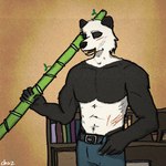 anthro biped male solo chazthewolf beastars gouhin_(beastars) bear giant_panda mammal 1:1