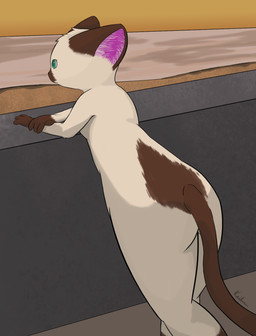beach detailed_background female leaning nude outside sand sea seaside sky solo sunset water kaiberu domestic_cat felid feline felis mammal siamese_cat hi_res