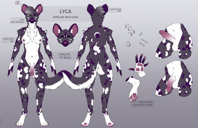 animal_genitalia anthro balls big_ears breasts canine_genitalia claws ear_piercing erection flaccid fur genitals green_eyes grey_body grey_fur gynomorph humanoid_genitalia humanoid_penis intersex markings multiple_piercings navel navel_piercing nipple_piercing nipples pawpads paws penis piercing purple_markings solo stated_height tail text tuft white_body white_fur white_markings fudgebane lyca_blackwood african_painted_dog african_wild_dog canid canine mammal absurd_res english_text hi_res model_sheet