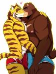 2016 abs anthro bear bearlovestiger13 biceps boxer_briefs bulge bulge_frottage clothed clothing duo erection erection_under_clothing eyebrows felid frottage fur furgonomics hi_res juuichi_mikazuki kissing male male/male mammal morenatsu muscular muscular_male nipples pantherine pecs penile sex side_view tail tail_clothing thick_eyebrows tiger topless torahiko_(morenatsu) underwear