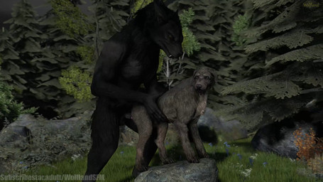 accurate_knotting all_fours anatomically_correct animal_genitalia animal_penis animal_vulva anthro anthro_on_feral anthro_penetrating anthro_penetrating_feral balls bestiality biped black_body black_fur bodily_fluids bouncing_balls butt canine_genitalia canine_penis canine_vulva claws close-up cloud cum cum_in_vagina cum_inside detailed_background doggystyle duo ear_motion erection evergreen_tree female female_on_anthro female_penetrated feral feral_penetrated forest from_behind_position fur genital_fluids genitals hair hands_on_waist height_assist intraspecies intraspecies_bestiality knot knotted_penis knotting larger_anthro larger_male leaking_cum light looking_at_another looking_pleasured love male male/female male_on_feral male_penetrating male_penetrating_female male_penetrating_feral moon moonlight night open_mouth orgasm outside penetration penile penile_penetration penis penis_in_vagina pine_tree plant quadruped sex silhouette size_difference smaller_female smaller_feral smaller_penetrated star tail teeth tender tongue tongue_out tree tree_stump vaginal vaginal_knotting vaginal_penetration vulva white_body white_fur wolfland bethesda_game_studios microsoft mythology skyrim subscribestar the_elder_scrolls skyrim_werewolf canid canine canis domestic_dog hunting_dog irish_wolfhound mammal mythological_canine mythological_creature sighthound werecanid werecanine werecreature werewolf 16:9 2026 3d_(artwork) 3d_animation animated digital_media_(artwork) hi_res high_framerate huge_filesize long_playtime no_sound source_filmmaker_(artwork) video watermark widescreen