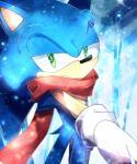 anthro big_eyes big_head clothing fur gloves green_eyes half-closed_eyes handwear male narrowed_eyes scarf snow solo toony white_clothing white_gloves white_handwear winter baitong9194 sega sonic_the_hedgehog_(series) sonic_the_hedgehog eulipotyphlan hedgehog mammal 2016 hi_res