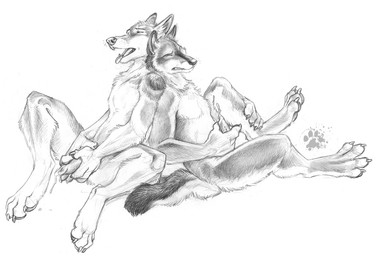 animal_genitalia animal_penis anthro back_to_back bodily_fluids canine_genitalia canine_penis claws clenched_teeth cum cum_drip dripping duo eyes_closed finger_claws fur genital_fluids genitals group_masturbation looking_pleasured male male/male masturbation nude nude_anthro nude_male pawpads paws penile penile_masturbation penis pointy_ears prick_ears simple_background sitting tail teeth toe_claws tongue tongue_out white_background blotch scratches_volume_2 canid canine canis dhole mammal wolf 2008 monochrome traditional_media_(artwork)
