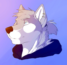 anthro blue_clothing blue_eyes blue_hoodie blue_topwear brown_nose clothed clothing ear_piercing ear_ring fur gradient_background grey_body grey_fur grey_hair hair hoodie male male_anthro mouth_closed narrowed_eyes piercing ponytail ring_piercing simple_background solo topwear white_body white_fur solaxe_(artist) canid canine mammal bust_portrait portrait