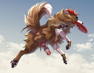 4_toes action_pose animal_genitalia animal_penis anus balls big_penis brown_body brown_fur canine_genitalia canine_penis claws cloud dewclaw dipstick_tail erection feet feral fluffy flying frisbee frisbee_in_mouth fur genitals hair knot looking_at_viewer looking_back looking_back_at_viewer male male_feral markings pawpads paws penis pink_anus pose quadruped red_hair sky soles solo spread_legs spreading tail tail_markings teeth toe_claws toes white_body white_fur aseniyaaa canid canine canis domestic_dog mammal colored digital_media_(artwork) hi_res shaded