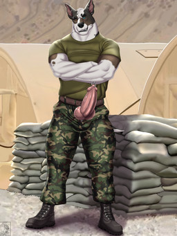 accessory anthro army army_clothing army_outfit army_uniform aroused aroused_face aroused_male aroused_smile balls_outline barazoku beckoning bedroom_eyes belt biceps big_bulge big_muscles black_body black_boots black_clothing black_footwear black_fur blue_eyes boots bottomwear brown_belt brown_body brown_clothing brown_fur bulge camo camo_bottomwear camo_clothing camo_pants camo_print clothed clothing cock_ring cocky cocky_grin combat_boots crossed_arms desert detailed_bulge ear_piercing ear_ring erection eyebrow_piercing eyebrow_ring facial_piercing flirting flirting_look flirting_with_viewer footwear fur genital_outline genital_piercing genitals gesture gravel green_bottomwear green_clothing green_pants green_shirt green_topwear grin grinning_at_viewer heterochromia inviting inviting_to_sex inviting_viewer jewelry knot knotted_penis looking_at_viewer male manly military military_clothing military_pants military_uniform multicolored_body multicolored_fur muscular muscular_anthro muscular_arms muscular_male muscular_thighs narrowed_eyes offering_sex offering_to_viewer open_bottomwear open_clothing open_pants orange_eyes outside pants pattern_bottomwear pattern_clothing pattern_pants penis penis_accessory penis_jewelry penis_piercing penis_poking_out penis_through_fly piercing pink_penis presenting presenting_penis ring_piercing sandbag seducing_viewer seductive shirt shoes showing_off_muscles smile smiling_at_viewer smirk smirking_at_viewer soldier solo standing tent thick_arms thick_thighs tight_bottomwear tight_clothing tight_pants tight_shirt tight_topwear topwear tough_guy uniform warrior white_body white_fur elbestia bull_terrier canid canine canis domestic_dog hunting_dog mammal terrier hi_res