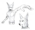 abs anthro black_nose clothed clothing collar ear_piercing fur male metal_collar muscular muscular_anthro muscular_male piercing solo topless sellon amon_(rukis) canid canine canis jackal mammal 2017