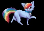 absurd_res alpha_channel alternate_species blue_body blue_fur domestic_cat felid feline felis female feral friendship_is_magic fur hair hasbro hi_res mammal multicolored_hair multicolored_tail my_little_pony rainbow_dash_(mlp) rainbow_hair rainbow_tail rizusaur solo tail tongue tongue_out whiskers